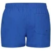 Puma Maudymosi Šortai Vyrams Swim Men Mėlyna 907658 20