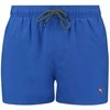 Puma Maudymosi Šortai Vyrams Swim Men Mėlyna 907658 20