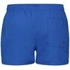 Puma Maudymosi Šortai Vyrams Swim Men Mėlyna 907658 20
