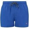 Puma Maudymosi Šortai Vyrams Swim Men Mėlyna 907658 20