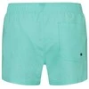 Puma Maudymosi Šortai Vyrams Swim Men Žalias 907658 19