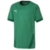 Puma Marškinėliai Paaugliams TeamGoal 23 Jerse Žalias 704160 05