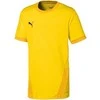 Puma Marškinėliai Paaugliams TeamGoal 23 Jerse Žalias 704160 05