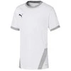 Puma Marškinėliai Paaugliams TeamGoal 23 Jerse Žalias 704160 05