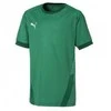 Puma Marškinėliai Paaugliams TeamGoal 23 Jerse Žalias 704160 05