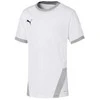 Puma Marškinėliai Paaugliams TeamGoal 23 Jerse Žalias 704160 05