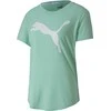 Puma Palaidinė Evostripe Tee Žalias 581241 32