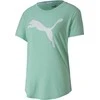 Puma Palaidinė Evostripe Tee Žalias 581241 32