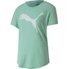 Puma Palaidinė Evostripe Tee Žalias 581241 32