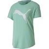 Puma Palaidinė Evostripe Tee Žalias 581241 32