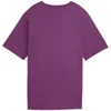 Puma Palaidinė Moterims Ess Relaxed Tee Violetinė 684971 69