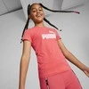 Puma Palaidinė Paaugliams Ess Logo Tee Coral 587029 58