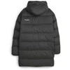 Puma Pūkinė Striukė Vyrams Protective Hooded Juodas 675378 01