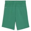 Puma Pums Šortai Paaugliams TeamGoal Shorts Jr Žalias 705753 05