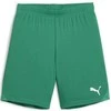 Puma Pums Šortai Paaugliams TeamGoal Shorts Jr Žalias 705753 05