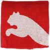 Puma Rankšluostis Team Rankšluostis Large Raudona 054553 02