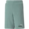 Puma Šortai Paaugliams Ess+ 2 Col Žalias 586989 84