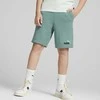 Puma Šortai Paaugliams Ess+ 2 Col Žalias 586989 84