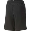 Puma Šortai Paaugliams Ess+ 2 Col Juodas 586989 91