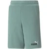 Puma Šortai Paaugliams Ess+ 2 Col Žalias 586989 84