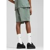 Puma Šortai Paaugliams Ess 2 Color No. 1 Logo Shorts Žalias 685826 30