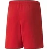 Puma Šortai Paaugliams Teamrise Short Jr Raudona 704943 01