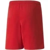 Puma Šortai Paaugliams Teamrise Short Jr Raudona 704943 01