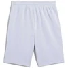 Puma Šortai Vyrams Ess 2 Color No. 1 Shorts Lilac 684715 47