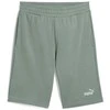 Puma Šortai Vyrams Ess 2 Color No. 1 Shorts Žalias 684715 30