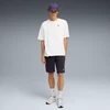Puma Šortai Vyrams Ess 2 Color No. 1 Shorts Dark Mėlyna 684715 19