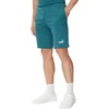 Puma Šortai Vyrams Ess 2 Color No. 1 Shorts Žalias 684715 41