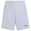 Puma Šortai Vyrams Ess 2 Color No. 1 Shorts Lilac 684715 47