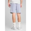 Puma Šortai Vyrams Ess 2 Color No. 1 Shorts Lilac 684715 47