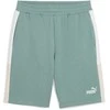 Puma Šortai Vyrams Ess Block Shorts Žalias 684690 30