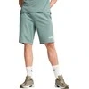 Puma Šortai Vyrams Ess Block Shorts Žalias 684690 30