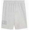 Puma Šortai Vyrams Ess Logo Lab Exec Shorts Pilkas 684670 04