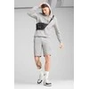Puma Šortai Vyrams Ess Logo Lab Exec Shorts Pilkas 684670 04