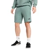 Puma Šortai Vyrams Ess No. 1 Logo Shorts Žalias 682595 30