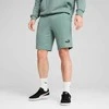 Puma Šortai Vyrams Ess No. 1 Logo Shorts Žalias 682595 30