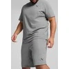 Puma Šortai Vyrams Ess Shorts 10 Pilkas 682598 03