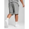 Puma Šortai Vyrams Ess Shorts 10 Pilkas 682598 03