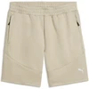 Puma Šortai Vyrams Evostripe Men's Shorts rusvai gelsvas 692192 61