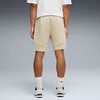 Puma Šortai Vyrams Evostripe Men's Shorts rusvai gelsvas 692192 61