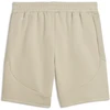 Puma Šortai Vyrams Evostripe Men's Shorts rusvai gelsvas 692192 61