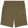 Puma Šortai Vyrams Pumatech Shorts Khaki 692182 81