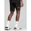 Puma Šortai Vyrams Sport Shorts Juodas 684623 01