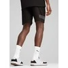 Puma Šortai Vyrams Sport Shorts Juodas 684623 01