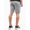 Puma Šortai Vyrams TeamGoal Casuals Shorts Pilkas 658608 33