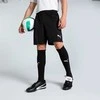 Nike Maudymosi Šortai Vyrams Logo Solid 5""In Short Khaki NESSA566 240