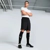 Nike Maudymosi Šortai Vyrams Logo Solid 5""In Short Khaki NESSA566 240